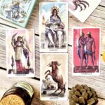 Expansion Pack Vintage 12cards